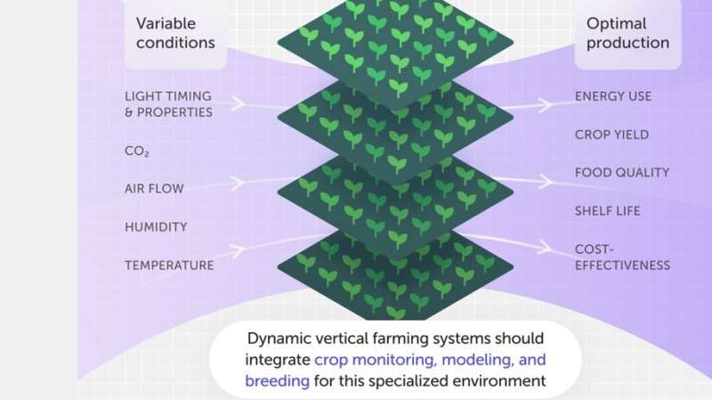 New research into vertical farming could help future food demand for a changing planet