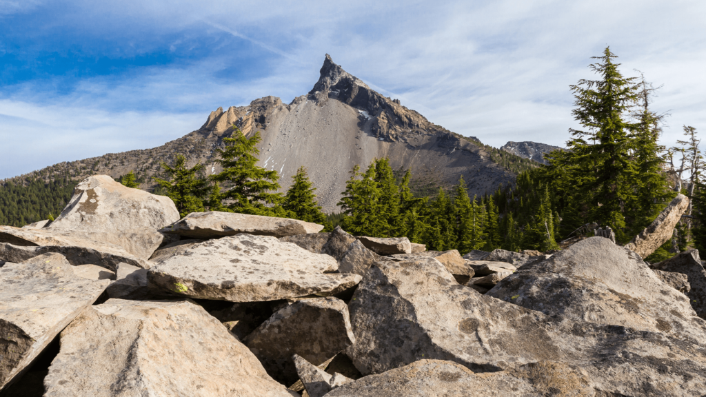 Volcanoes can preserve unusual features of the earth